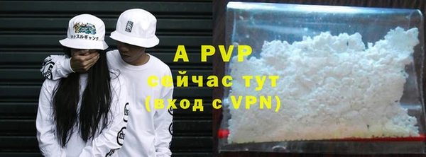 ГАЛЛЮЦИНОГЕННЫЕ ГРИБЫ Горняк