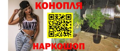 шишки Балашиха