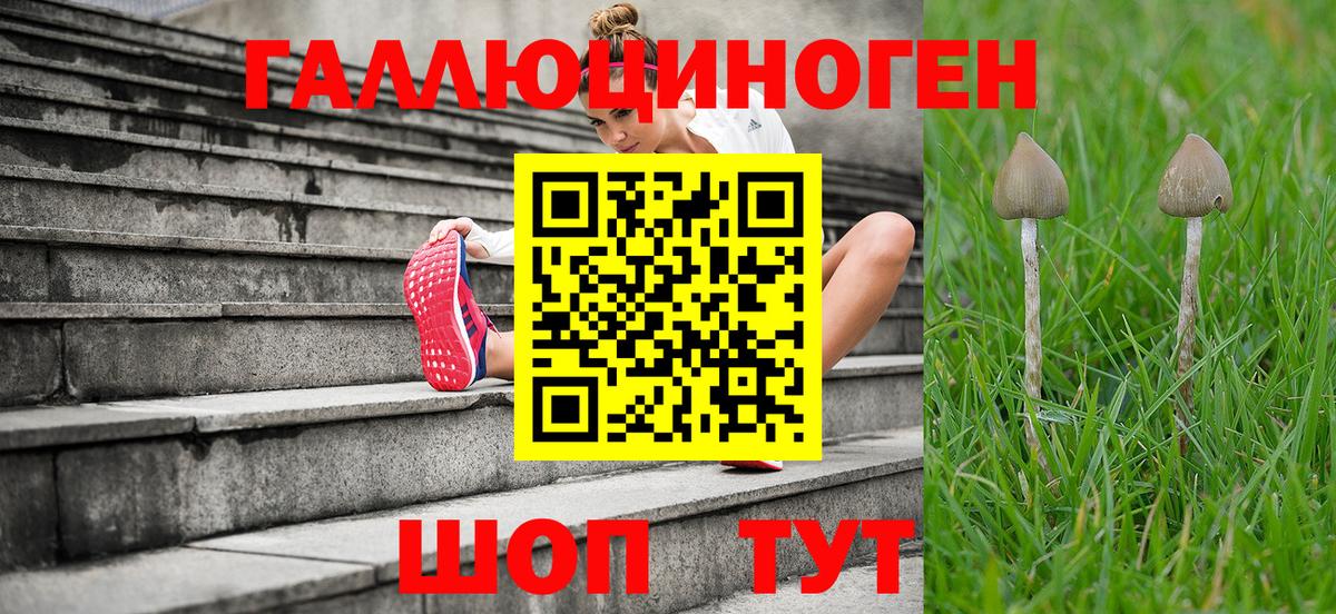 Псилоцибиновые грибы Psilocybine cubensis Нурлат