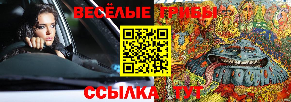 Галлюциногенные грибы Cubensis  Галлюциногенные грибы Psilocybe  Вход с VPN  Нурлат 