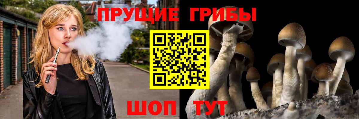 Псилоцибиновые грибы ЛСД Нурлат